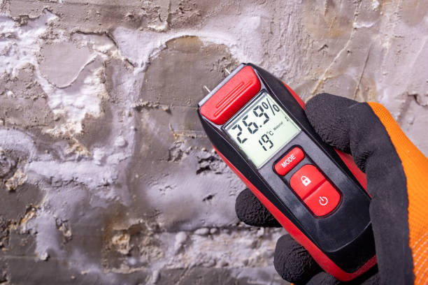 Best Crawl Space Mold Removal  in Belvedere, SC