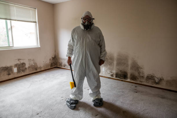 Best Attic Mold Removal  in Belvedere, SC